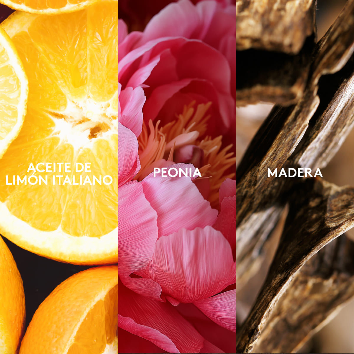 Momentos Radiantes Perfume de Mujer, 50 ml de ésika - Miniatura 7