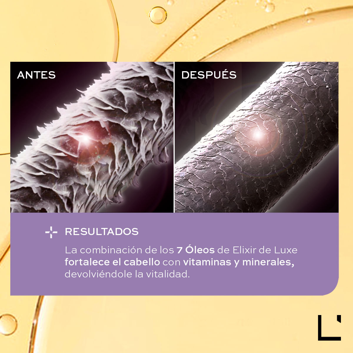 Producto Ligne Experte Elixir De Luxe 90 ml de LBel - Miniatura 9